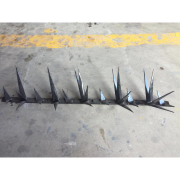 The High Galvanized New Type Anti-Creeped Wall Spike